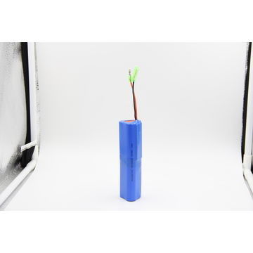 안마 총을 위한 0.2C 18650 2400mAh 21.6V 주문 리튬 이온 건전지 팩